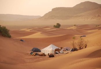 desert-maroc-bivouac