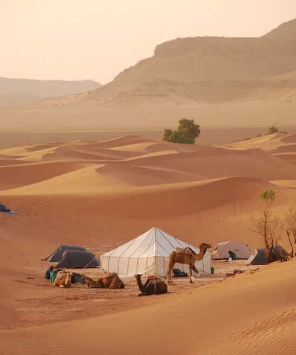 desert-maroc-bivouac