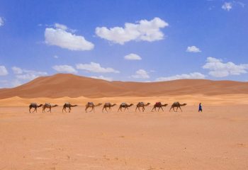 Randonnee desert Maroc 44