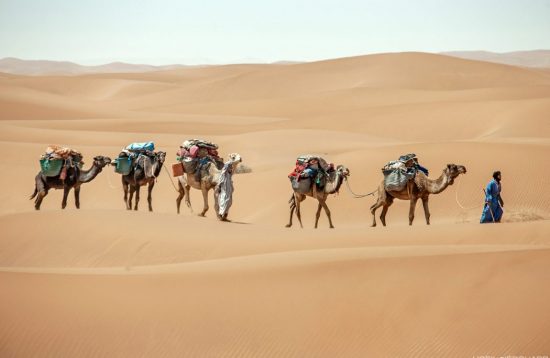 Randonnée desert Maroc : Au rythme des dromadaires